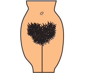 Bush